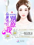 宠妻狂魔:总裁老公别撩我全文阅读