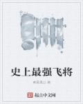 史上最强将军小说