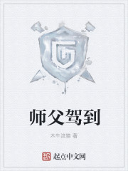 师父v5