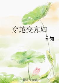 穿越变寡妇