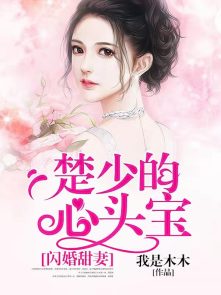 闪婚甜妻楚少的心头宝 小说