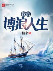 我的博浪人生无错版