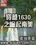 穿越1630之崛起南美txt八零