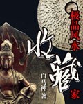 绝品风水大师