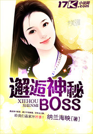 邂逅神秘boss 小说