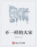 这个大宋不一样 epub