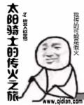 up主太阳骑士