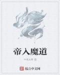 魔道仙帝 小说