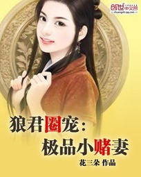 狼君绝宠极品小蛮妻点评小说