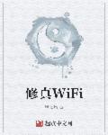 修真wifi小说