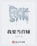 我要做首辅epub