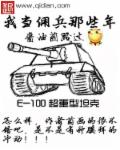 当佣兵的小说