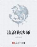 流浪法师什么意思