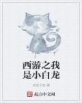 西游:我小白龙开局选择做大师兄