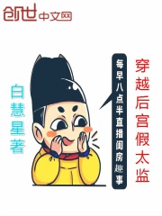 穿越后宫假太监视频大全