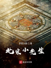 北宋小厨师剧情介绍