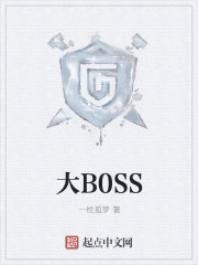 大boss表示什么意思