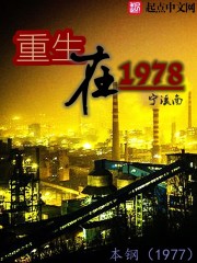 重生在70年代小说