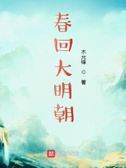 梦回大明春奇书