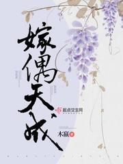 嫁偶天成全文免费阅读无弹窗木赢